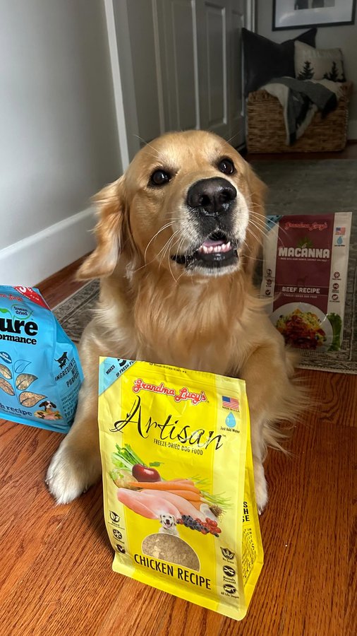 Instagram post by @alexaraeperry for Grandma Lucy's. Caption reads: Hogies fav treat brought to you by @grandmalucys....