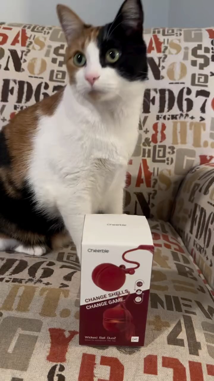 Instagram post by @organicamerican_ for Cheerble. Caption reads: Discount code: 05MINAG

Keep your kitty....