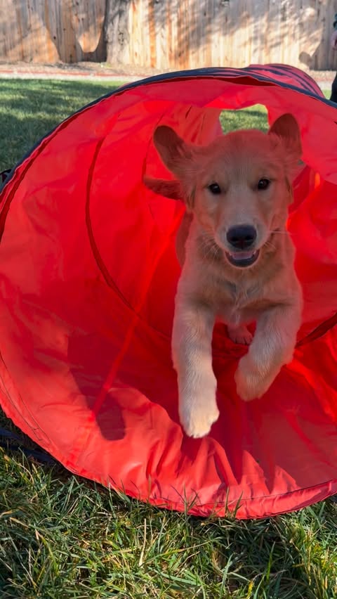 Instagram post by an influencer for Temu. Caption reads: [...] a vibe! Search 🔍[kcv4836] on Temu app to....