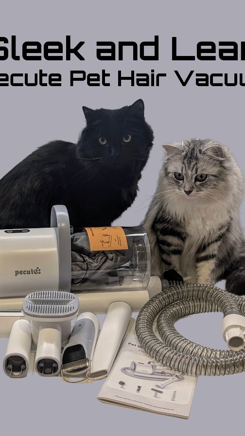 Instagram post by @kirstiandhercats for Pecute. Caption reads: [...] 🐾🎶

We were so excited to try the new....