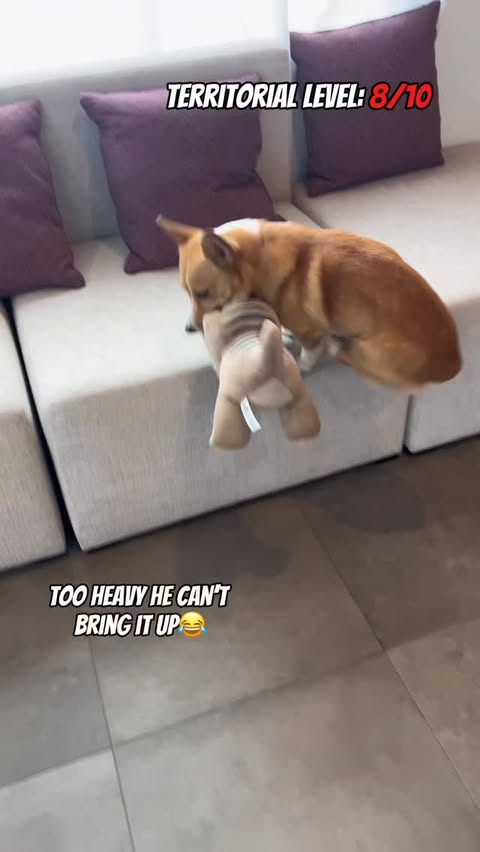 Instagram post by @corgibobaa for Jurassic World. Caption reads: His reactions are priceless😂😂 #ad #jurassicworld....