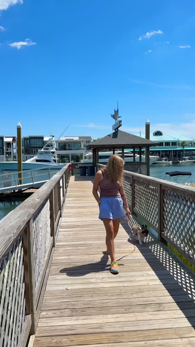 Instagram post by @katelynsailor for BarkBox. Caption reads: Come with us for a day in the life of me and my....