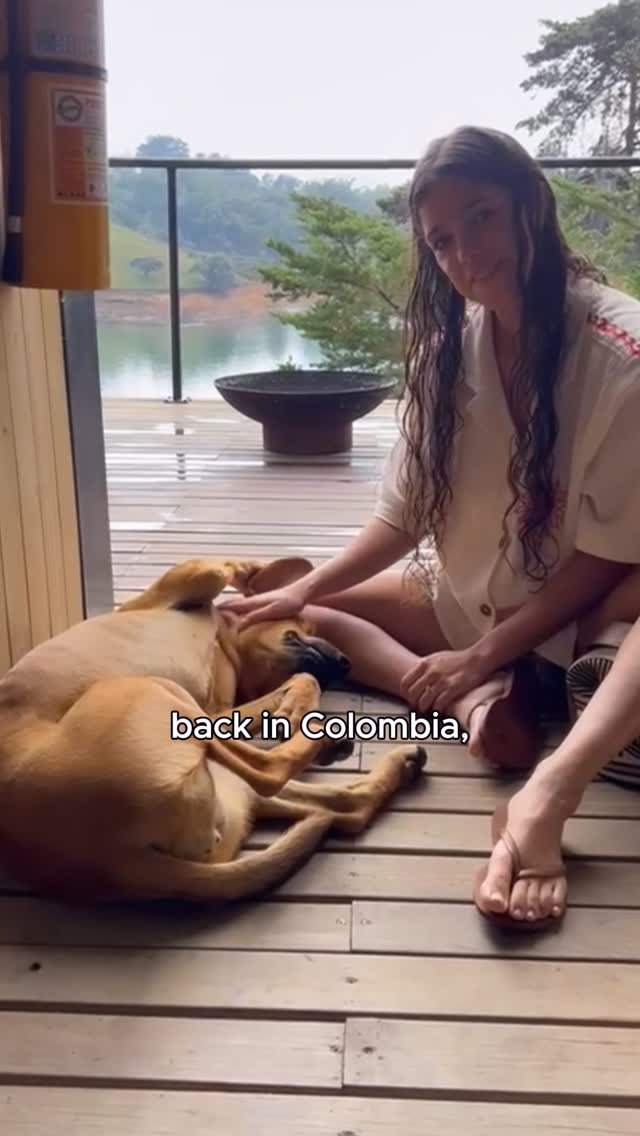 Instagram post by @nataliathevet for Western Union. Caption reads: Thanks to @westernunion, I was able to support my....