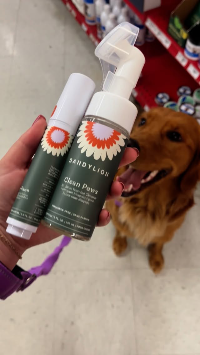 Instagram post by @thegoldentillybean for Dandylion. Caption reads: [...] furry faces)… but nothing beats seeing....