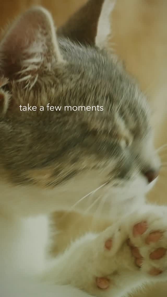 Instagram post by @chibs.co for Calm. Caption reads: Self-care can be as simple as saying, “I’m proud....