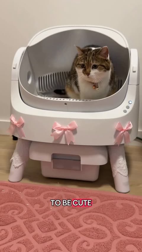 Instagram post by @suki_purrs for PetPivot. Caption reads: 🎀 Girl cat core 🎀
@petpivot AutoScooper is....