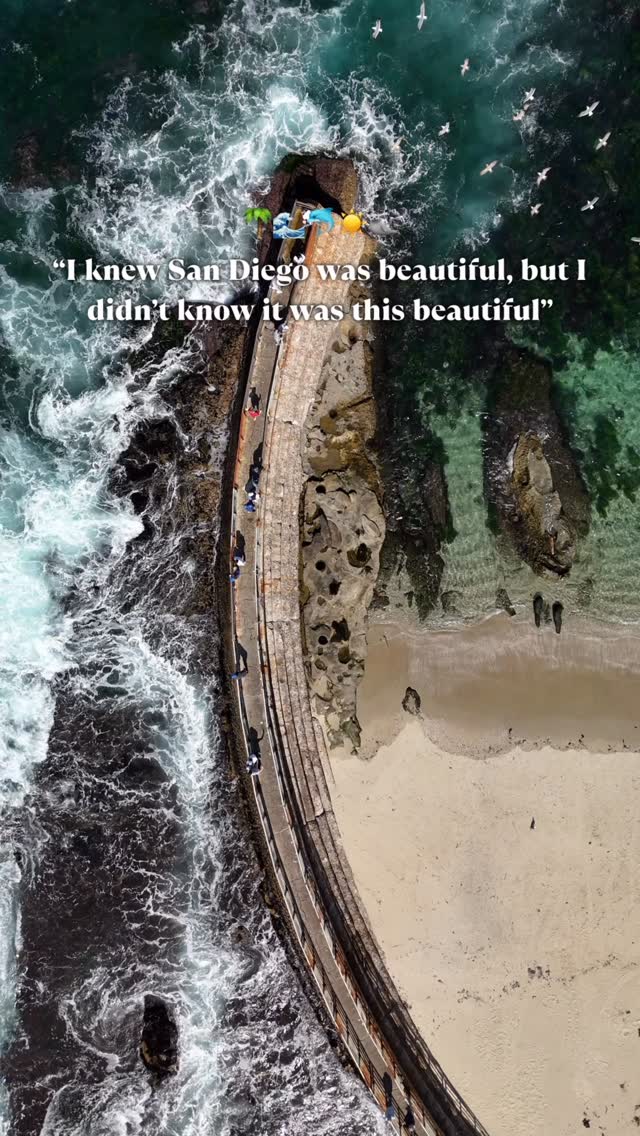 Instagram post by @travelwithtalia for Visit California. Caption reads: Did I convince you to visit? 🌴🐬🌊☀️

#sandiego....