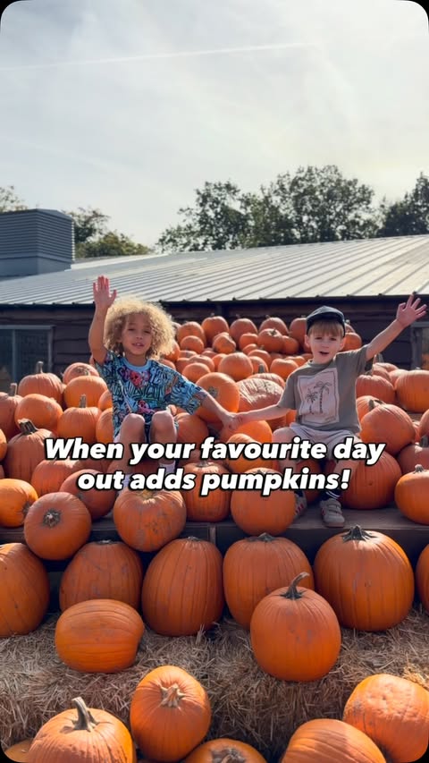 Instagram post by @life_with_marleyandme for Hobbledown. Caption reads: 🎃 HOBBLEDOWN’S FIRST EVER PUMPKIN EVENT! Ad.....
