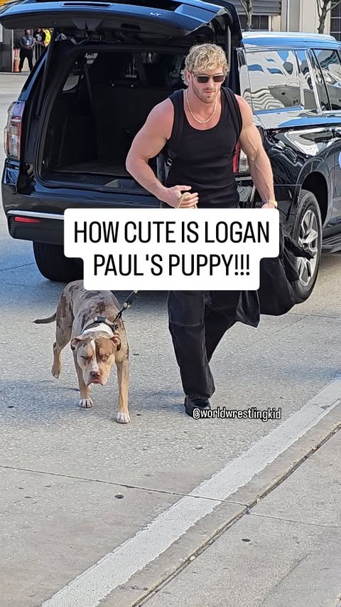 Instagram post by @worldwrestlingkid for DrinkPrime. Caption reads: [...] Paul's little puppy!? @loganpaul @drinkprime....