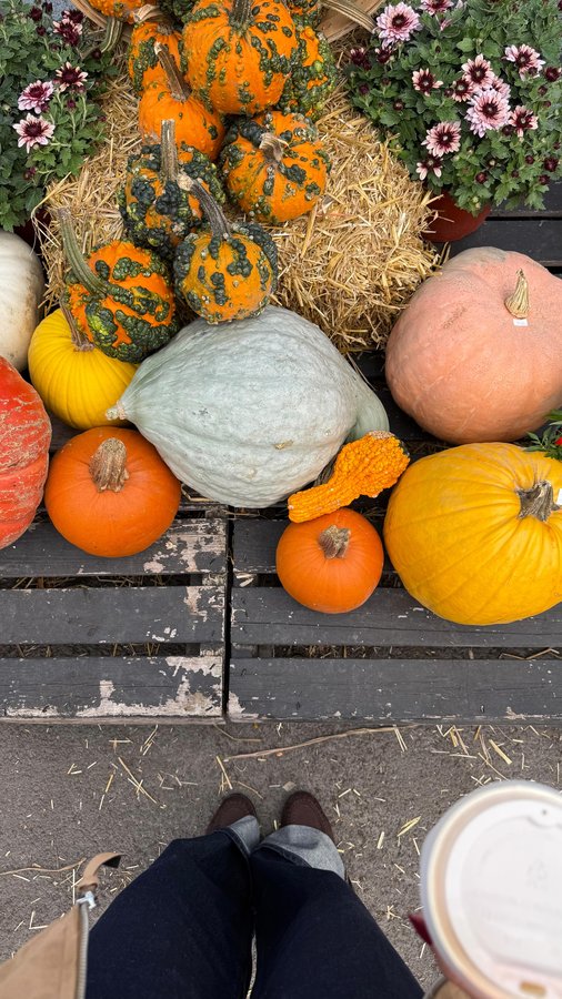 Instagram post by @vanessa.anna for Cozey. Caption reads: #ad I’m currently in the process of renovating and....