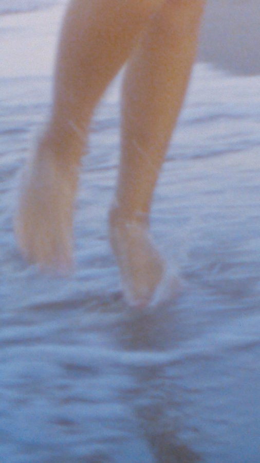 Instagram post by @michelleylens for Adobe Stock. Caption reads: Tell your story, YOUR way 

With @AdobeStock 

All....