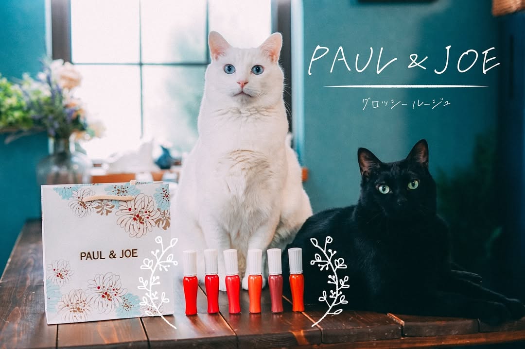 Instagram post by @chouchou_cherie_caro for PAUL & JOE BEAUTE. Caption reads: 私が愛してやまないPAUL & JOEから新作ルージュが出たので、自称PAUL &....
