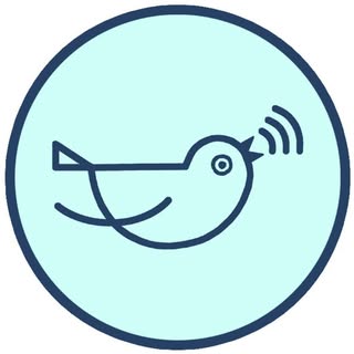 She’s Birdie