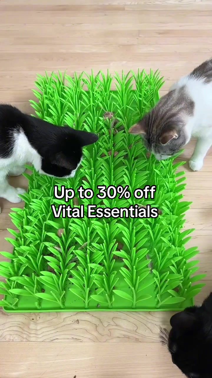 TikTok post by @penguinpepperpia for Vital Essentials. Caption reads: [...] 🌿🐾 Pair their foraging fun with @Vital....