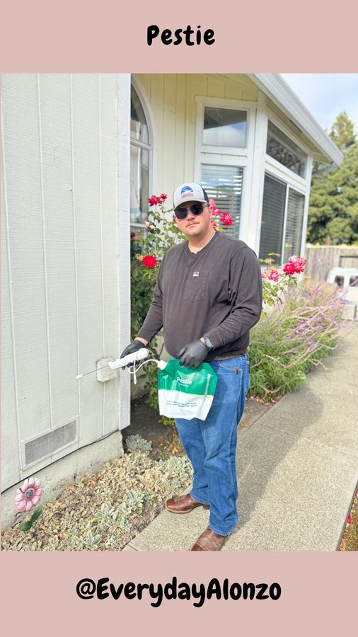 Instagram post by @everydayalonzo for Pestie. Caption reads: If there’s one thing about me, it’s I HATE BUGS,....