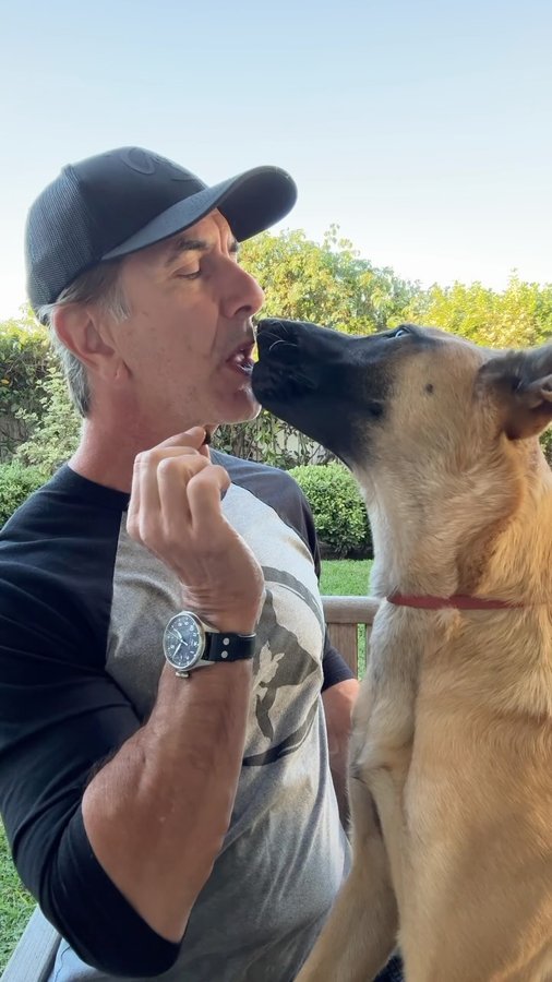 Instagram post by @robertcabral for ZIWI Pet Food. Caption reads: I’m always asked, “what treats do I use to train....