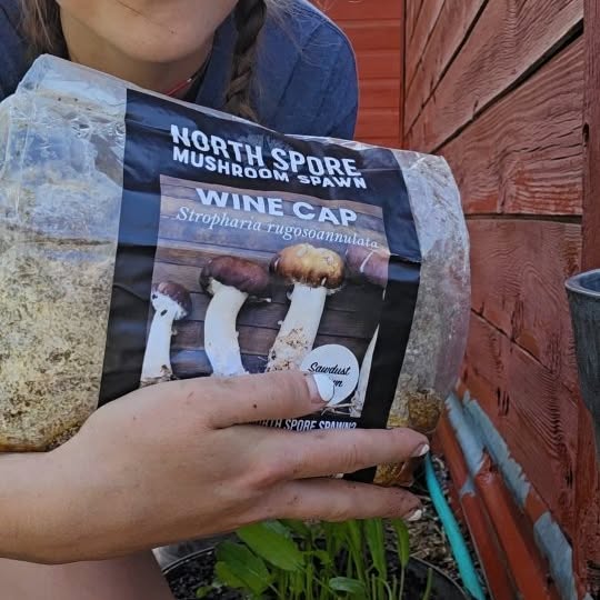 Instagram post by @huntnhoney.homestead for North Spore. Caption reads: I can't wait to watch these grow!
.
.
.
Comment....