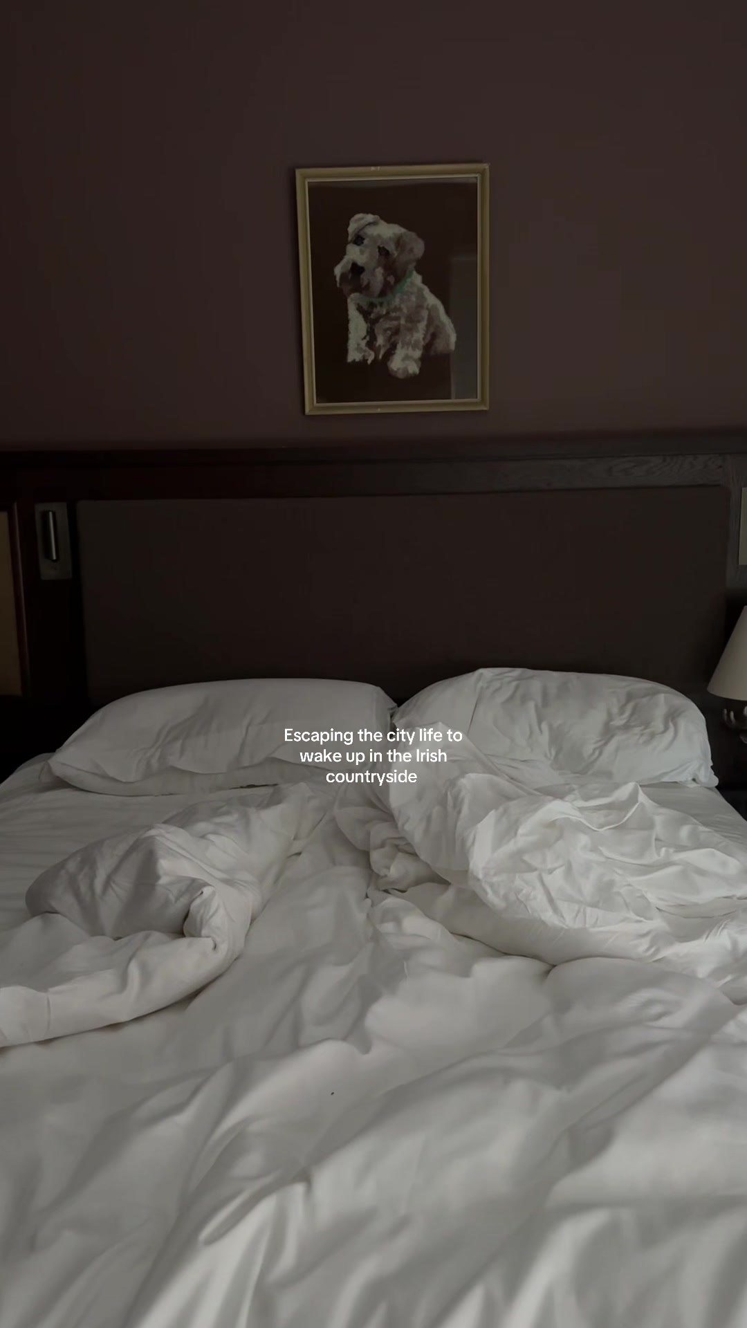 TikTok post by @eabhaodonoghue123 for Maison Margiela. Caption reads: [...] Irish country side hits different @Maison....