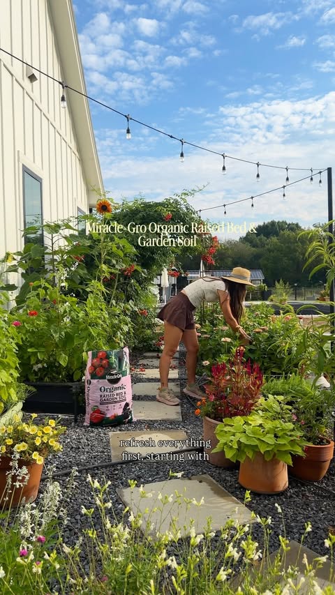 Instagram post by @the.rosie.home for Miracle-Gro. Caption reads: [...] all of my potted plants with Miracle-Gro....