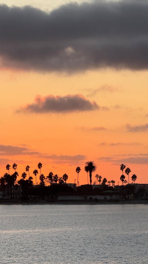 Instagram post by @moniquinton for 310 Nutrition. Caption reads: @310nutrition provides a balanced, nutritious meal....