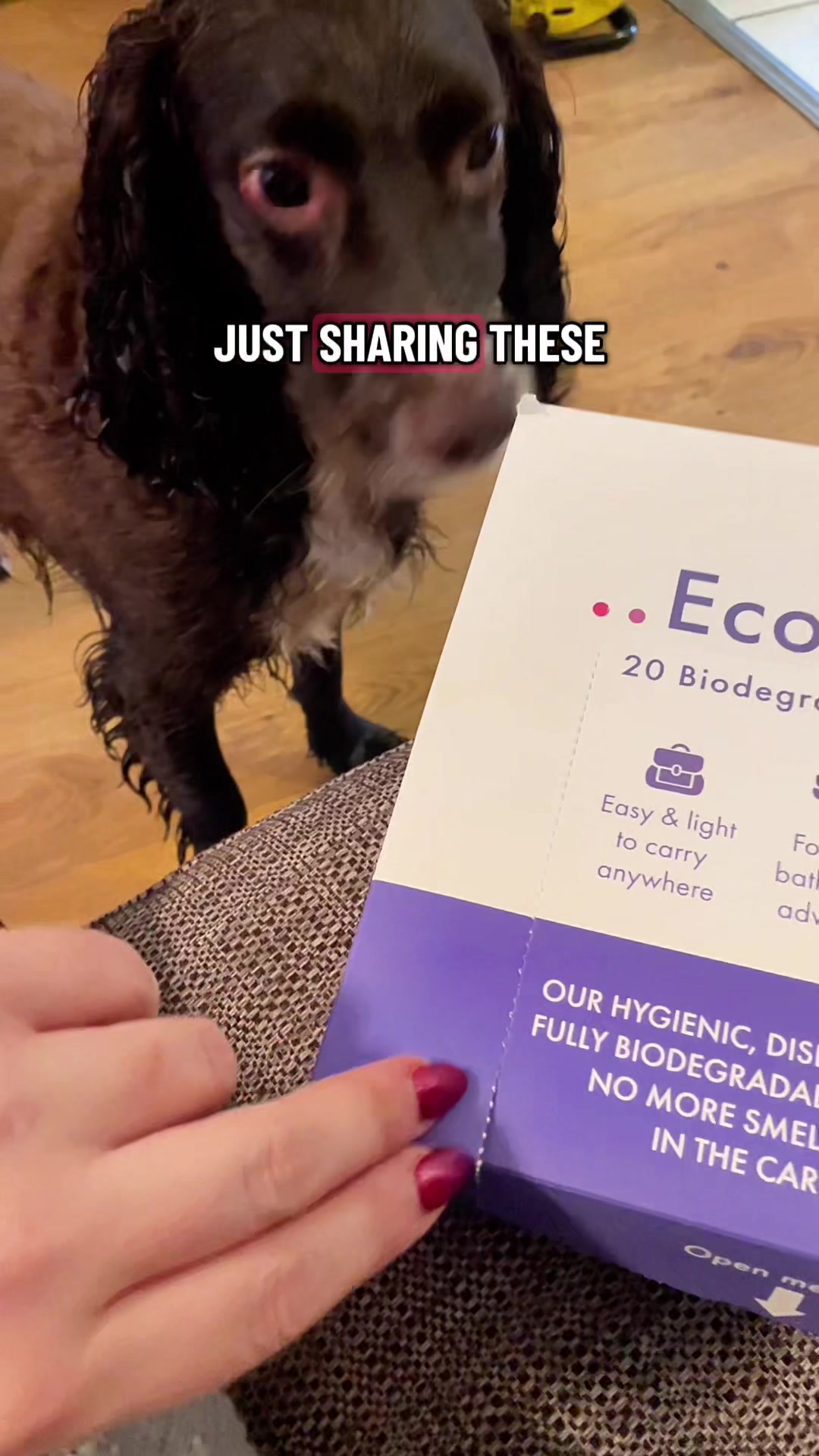 TikTok post by @woody_the_englishcocker for DotDotPet. Caption reads: These eco towels from @dotdotpet are still a firm....