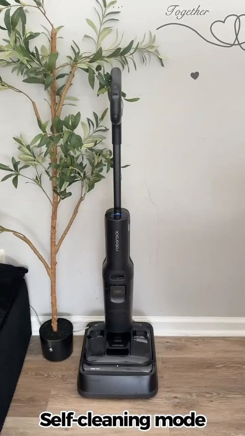 Instagram post by @neliasamoilich for Roborock. Caption reads: Roborock F25 ACE Pro has completely changed how I....