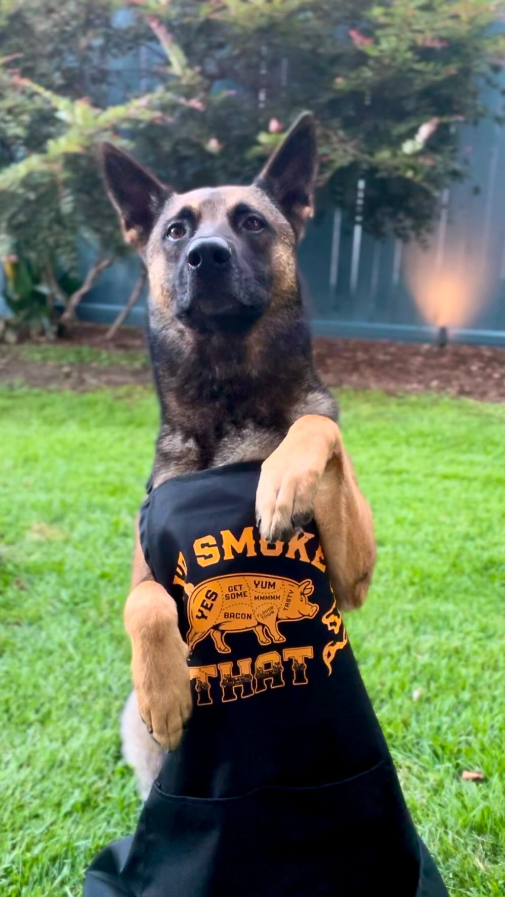 Instagram post by @idoubledogdareya for Grunt Style. Caption reads: [...] but it’s not too late to head over to....