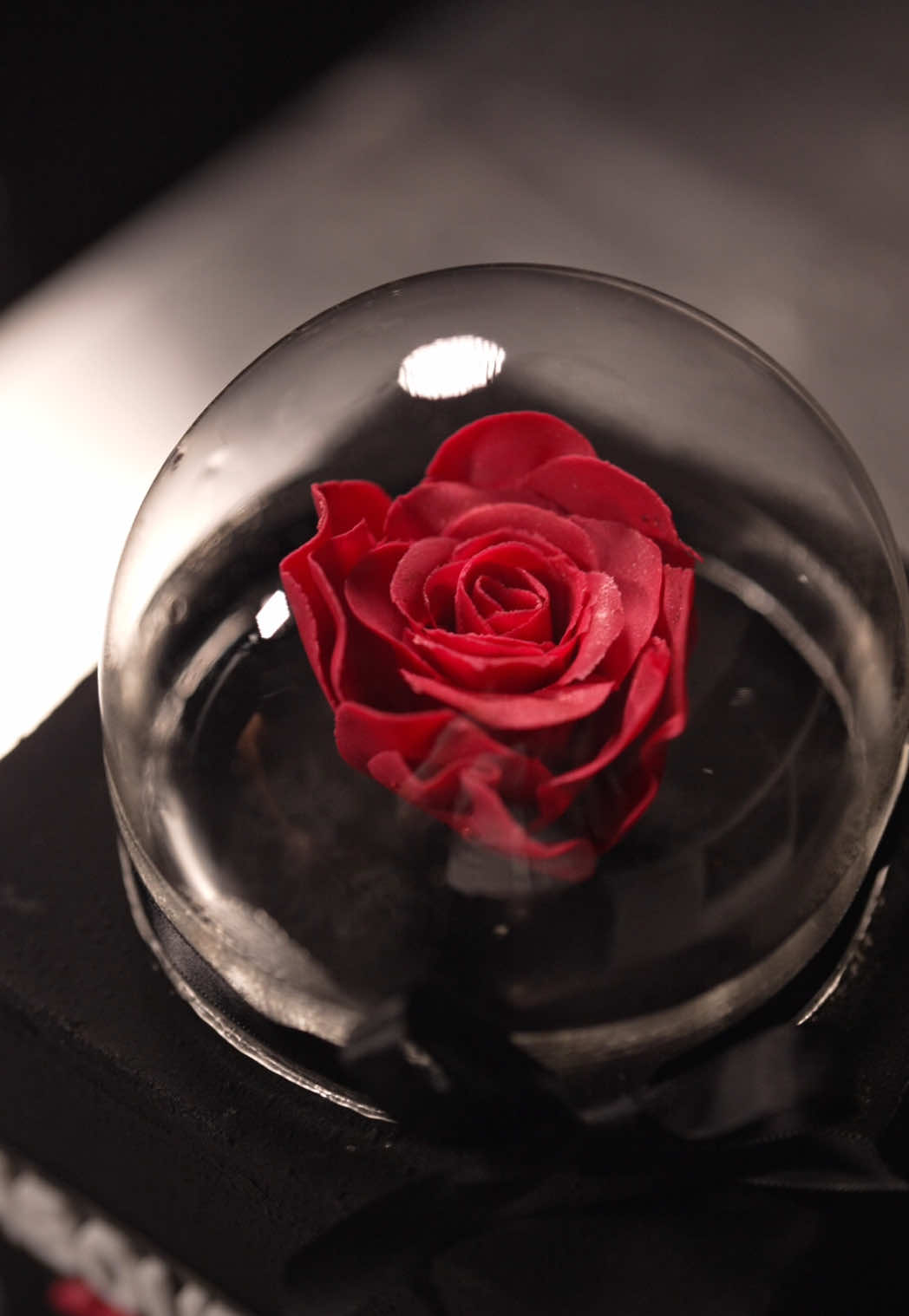 TikTok post by @thedonutdaddy for About You. Caption reads: Tonight is all about you #cake #buttercream #rose....