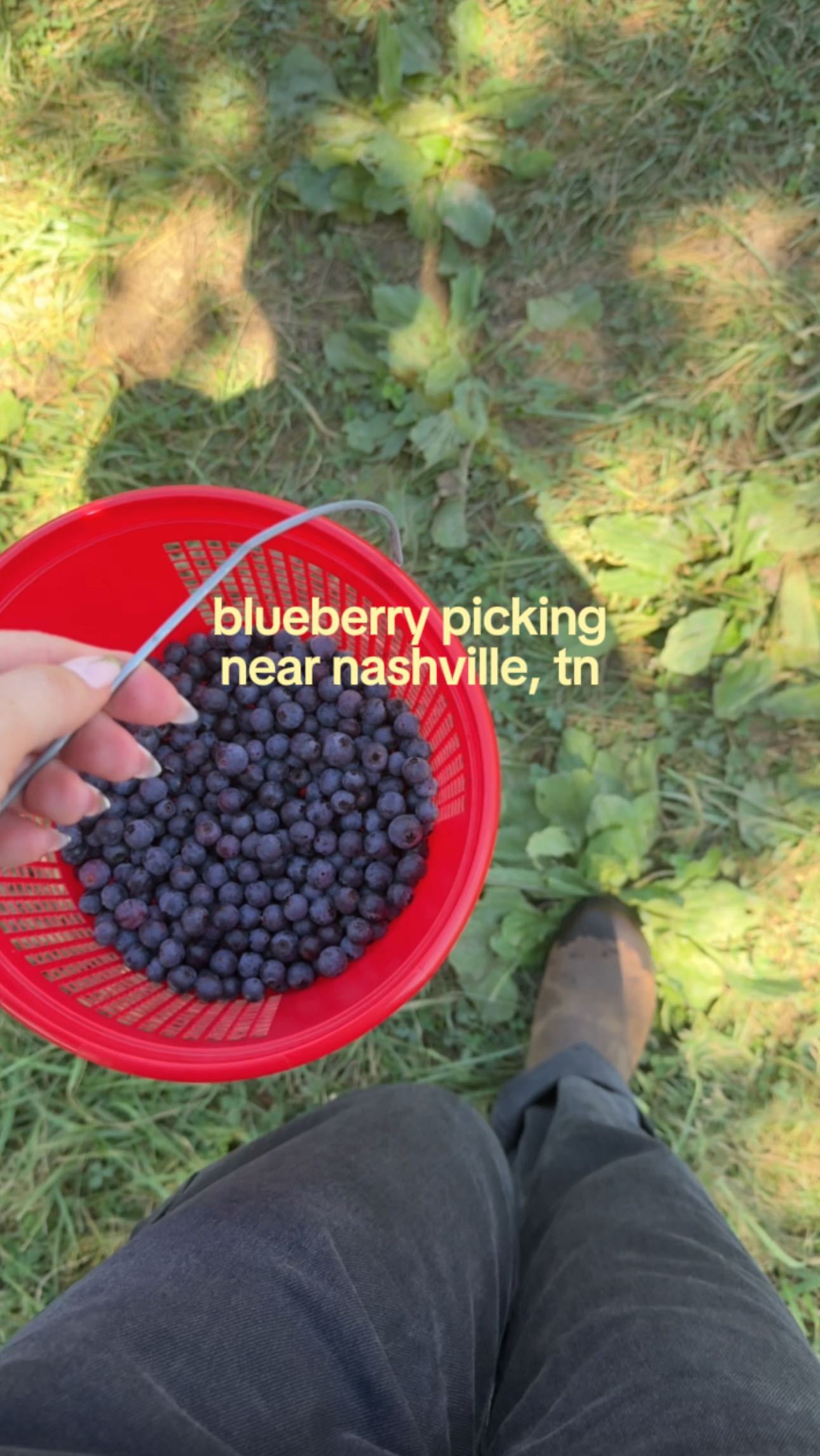 Instagram post by @nashvillewithcaitlin for Dots for Spots. Caption reads: [...] near Nashville! I always keep my....