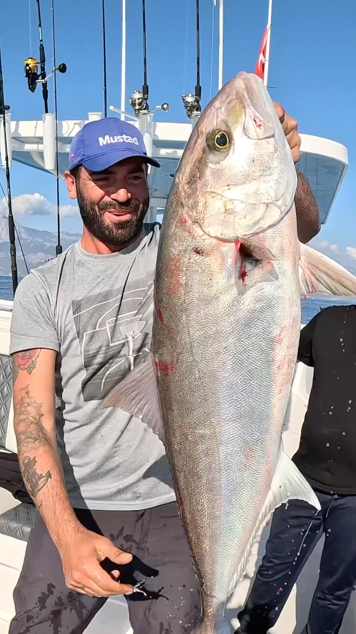 Instagram post by @balik_firarda for Mustad Fishing. Caption reads: Amberjack-Kuzu 🎣🧿 

Kamış Mustad....