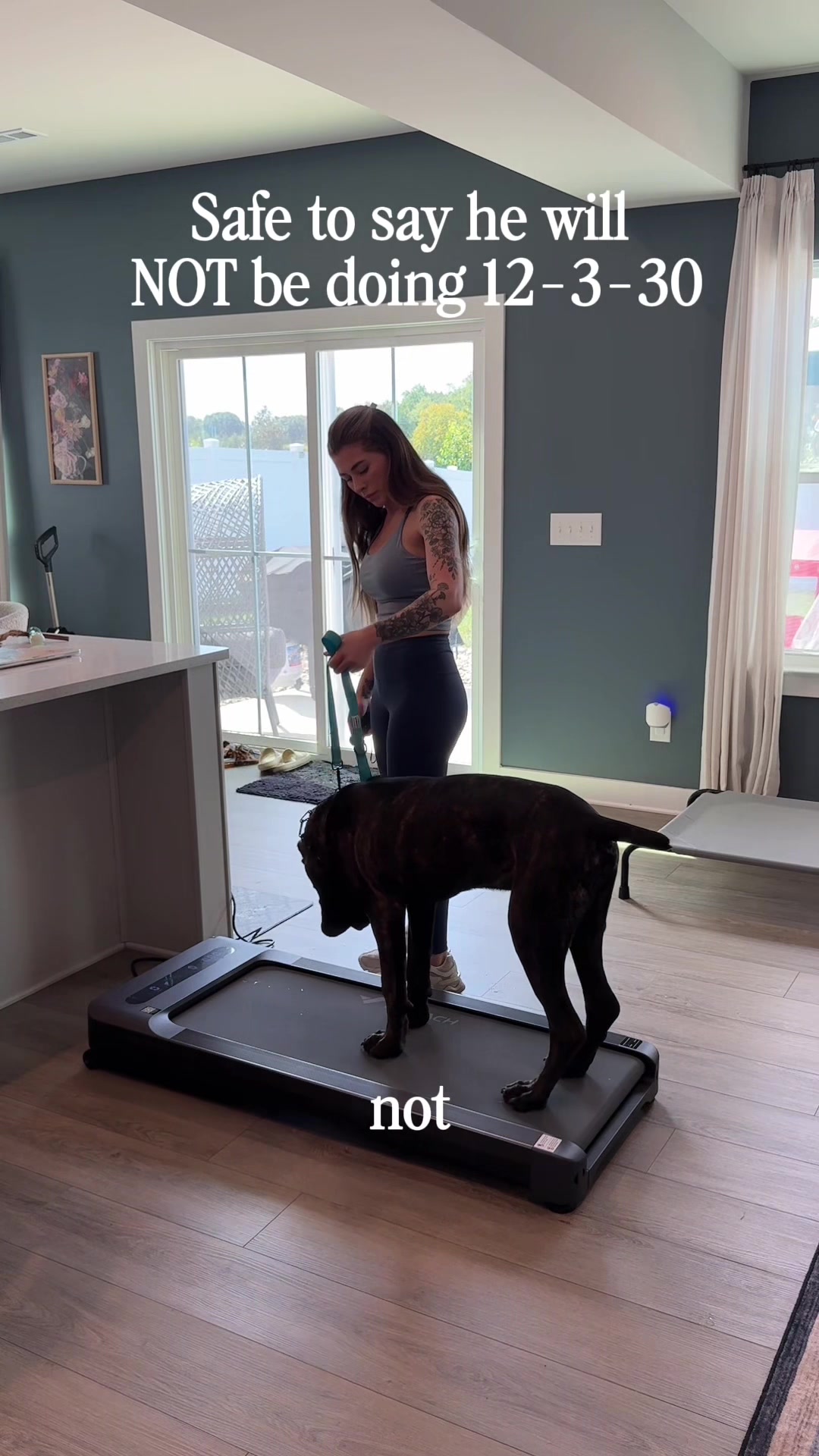 TikTok post by @themayadose for Merach Fitness. Caption reads: Apparently Milo will NOT be joining me on my 10k....