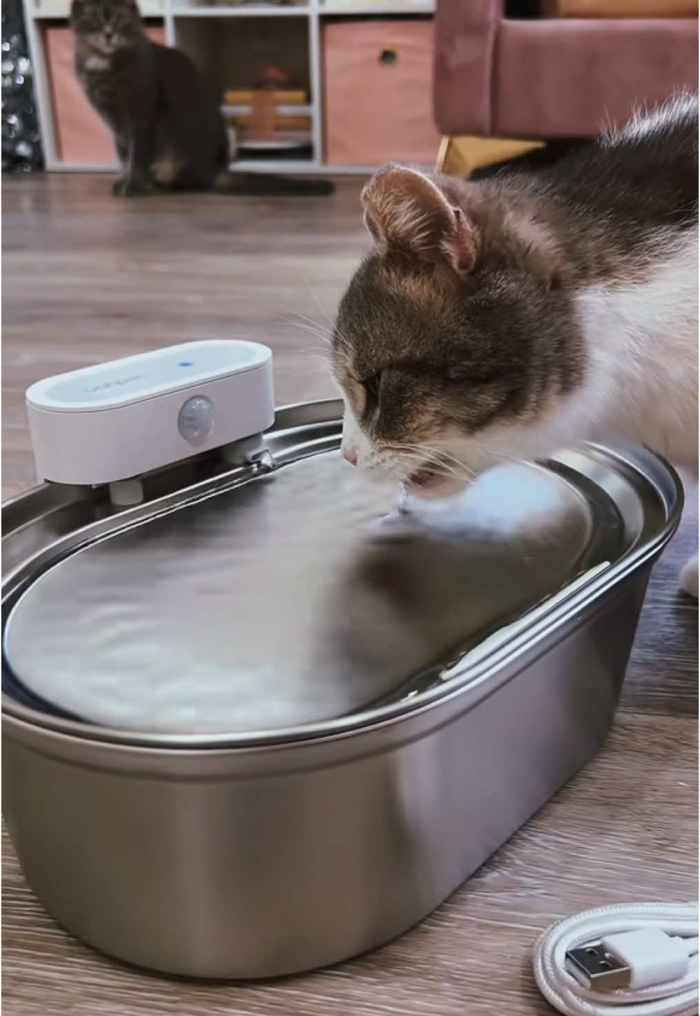 TikTok post by @emookitkats for Uahpet Shop US. Caption reads: @Uahpet Shop US nailed the whisper quiet wireless....