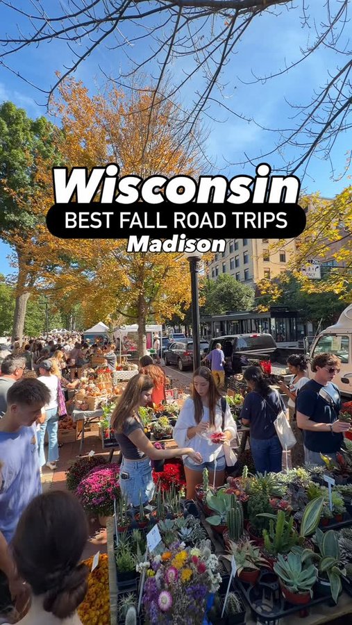 Instagram post by @bestdatefood for Travel Wisconsin. Caption reads: You need to add Madison, WI to your list of places....
