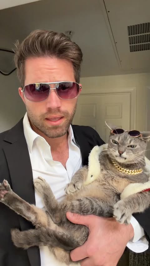 Instagram post by an influencer for Catalyst. Caption reads: [...] be real subtle about it. @catalystpet also....