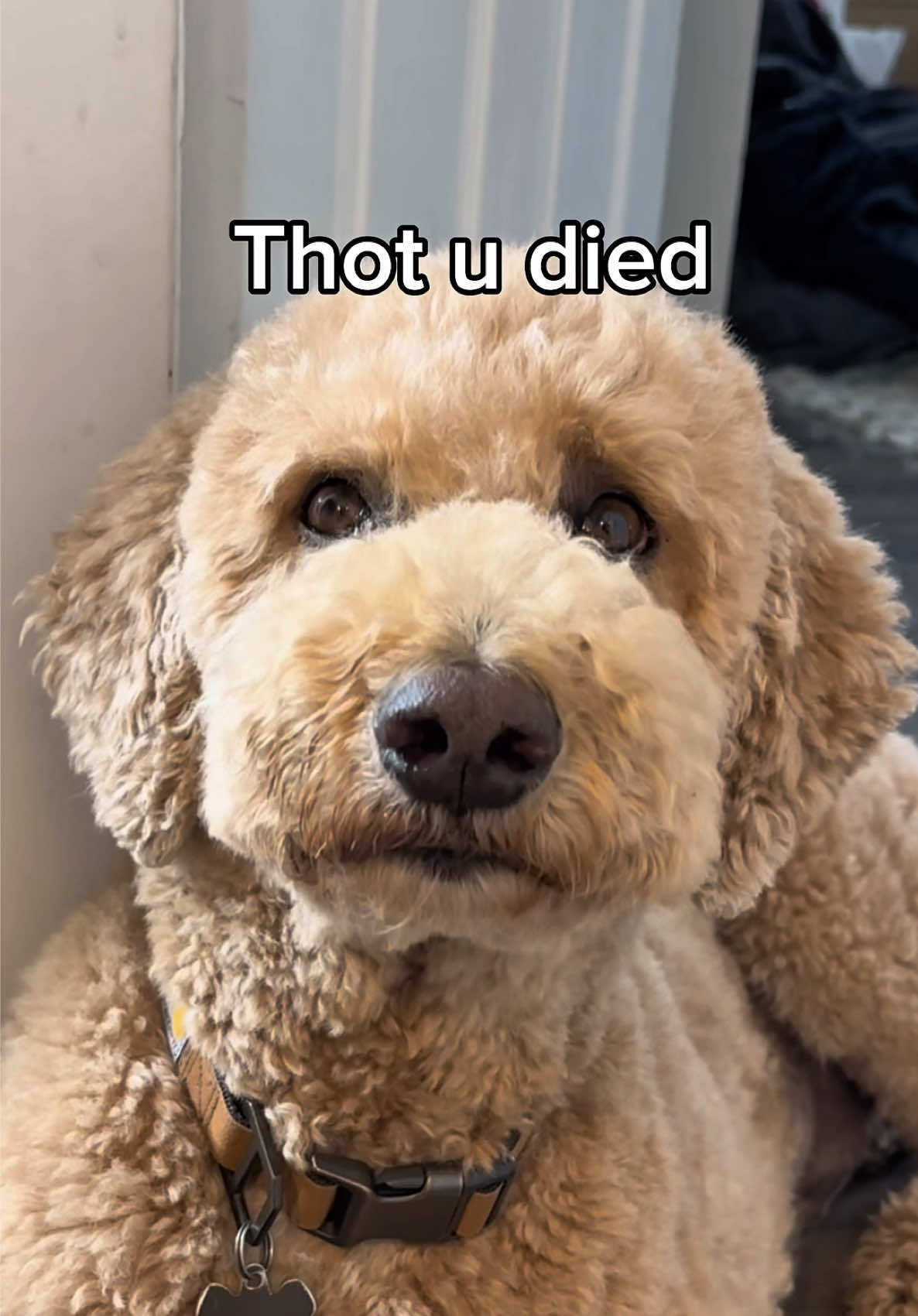 TikTok post by @agirlandadoodle for K18 Hair. Caption reads: [...] bathroom door sawed down..  At least @K18....