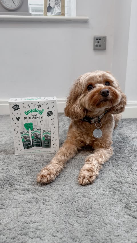 Instagram post by @bellathecavapoo20 for Bugalugs Pet Care. Caption reads: [...] 🪥🦷 We love the dental range at....