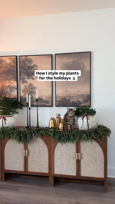 Instagram post by @dear.fig for Miracle-Gro. Caption reads: Holiday decor isn’t complete until the plants get....