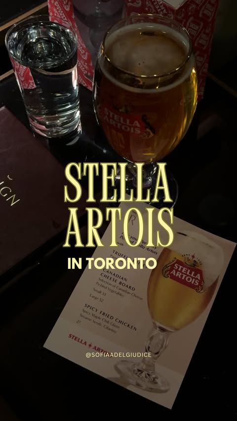 Instagram post by @sofiaadelgiudice for Stella Artois. Caption reads: #StellaArtoisPartner | A Toronto snowstorm...but....