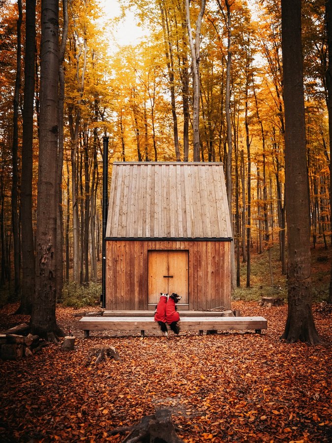 Instagram post by @connie.cita for Pomppa Dogwear. Caption reads: [...] gone for ever. 👀 #ad #sponsored....