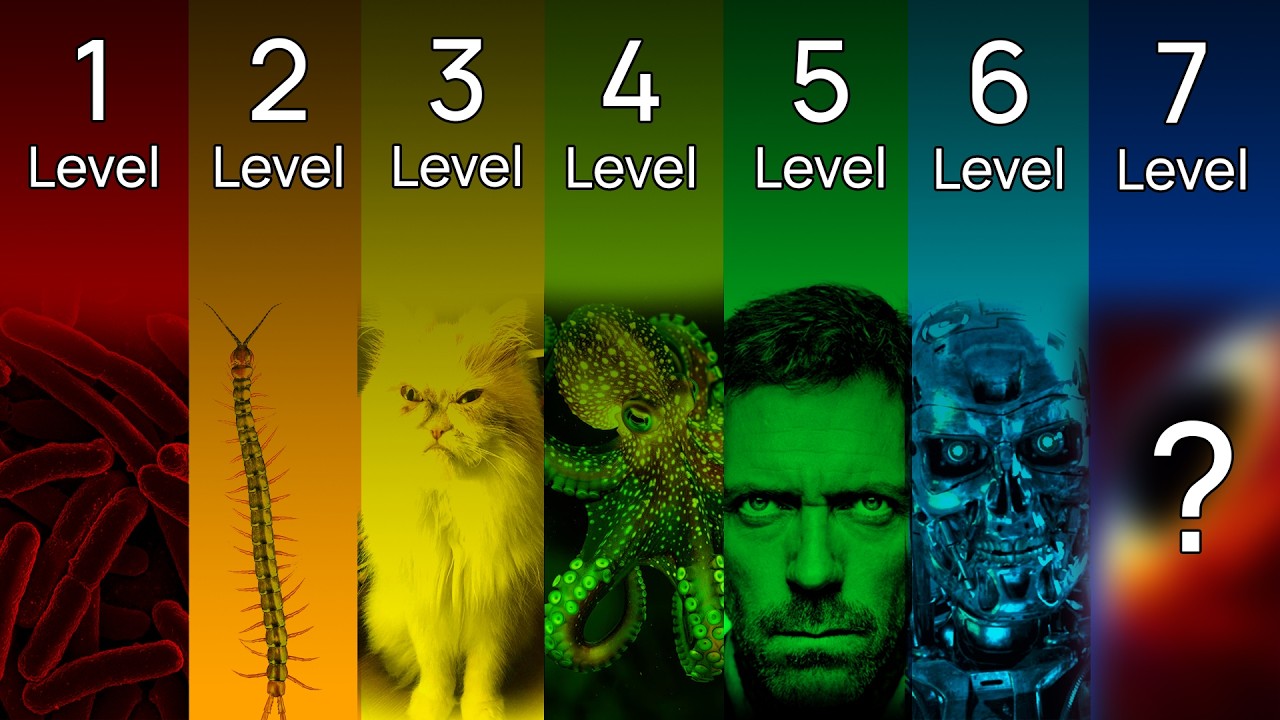 YouTube post by @SciencephiletheAI for Odoo. Caption reads: The Gradient of Consciousness Explained.