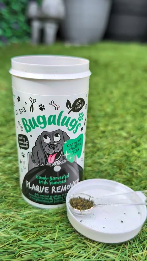 Instagram post by @chester.the.collie2021 for Bugalugs Pet Care. Caption reads: [...] but never a plaque powder, so when....