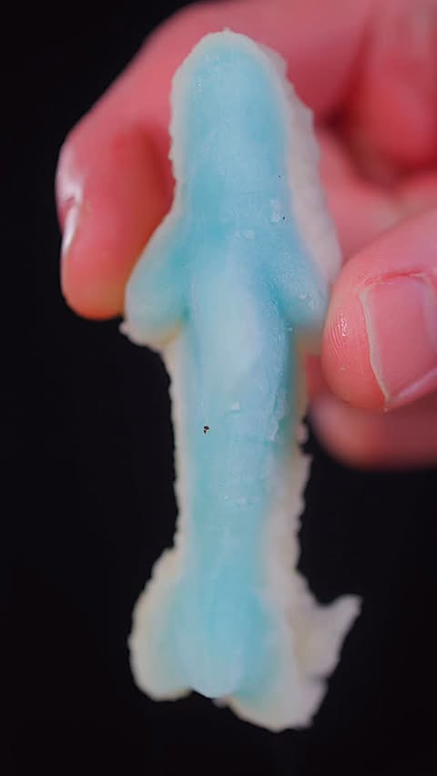 Instagram post by @colin.wingerter_ for OLIPOP. Caption reads: [...] gummy candy using @drinkolipop soda! 🍬....