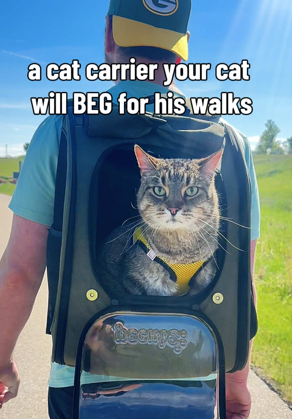 TikTok post by @bearandbou for Pecute. Caption reads: [...] your cat will BEG for his walks. @Pecute....