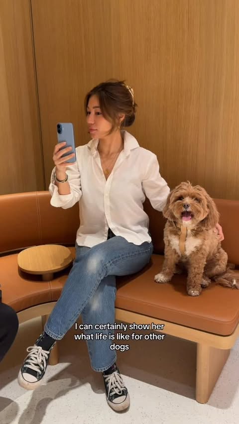 Instagram post by @tamsinamy for apple. Caption reads: #AD #CommissionedbyApple tired of raising....