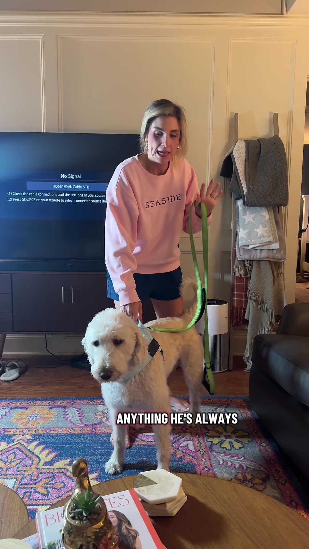 TikTok post by @wlmullins for Dog Friendly Co. Caption reads: [...] #dogharness #dogsoftiktoks #harness....