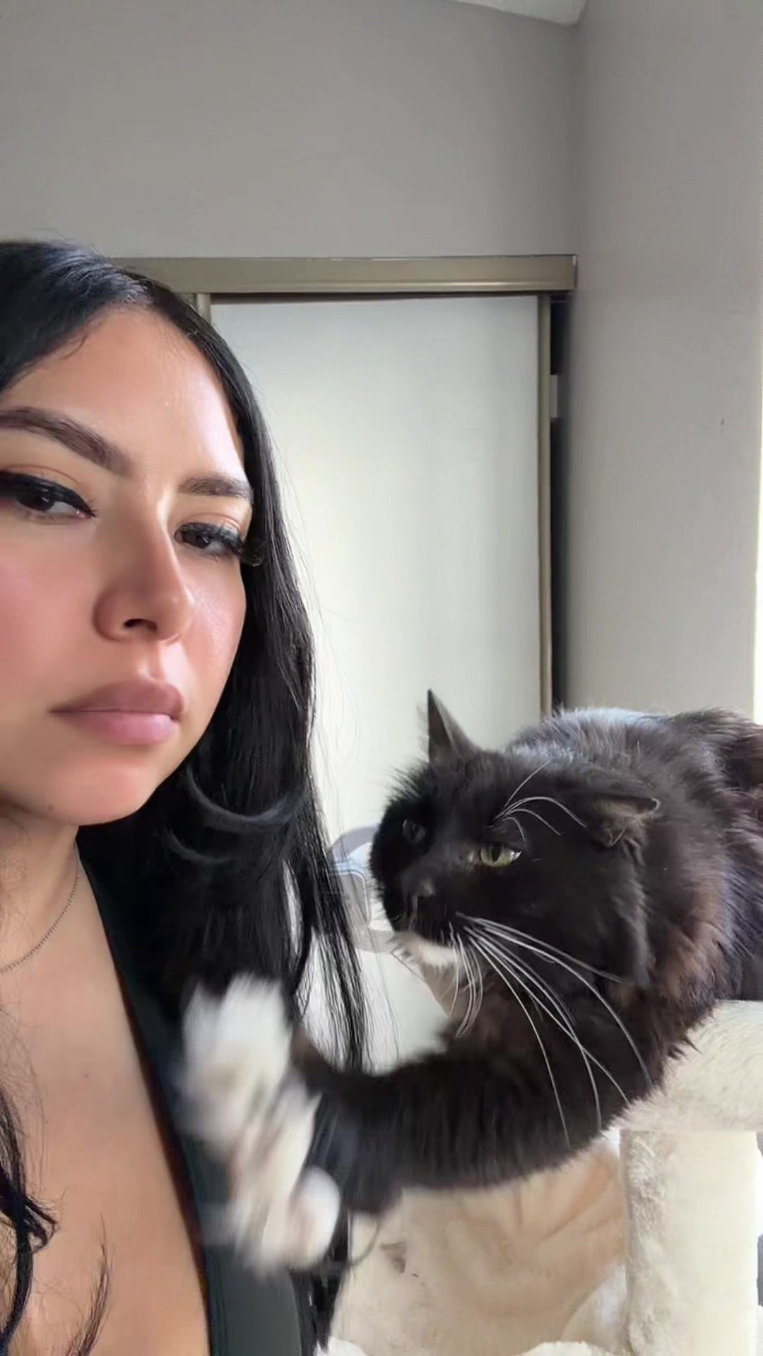 TikTok post by @itserikaraquel for Wyze. Caption reads: [...] to catch my cat @Shadow escape using @Wyze....