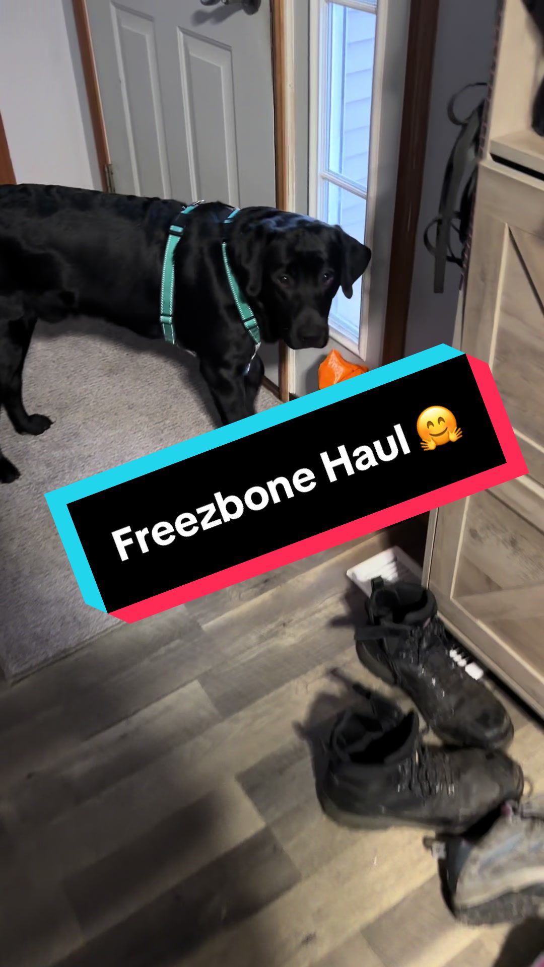 TikTok post by @mechanicwifelife24 for Freezbone. Caption reads: [...] package 🙌🙌 we ordered a ton more of....