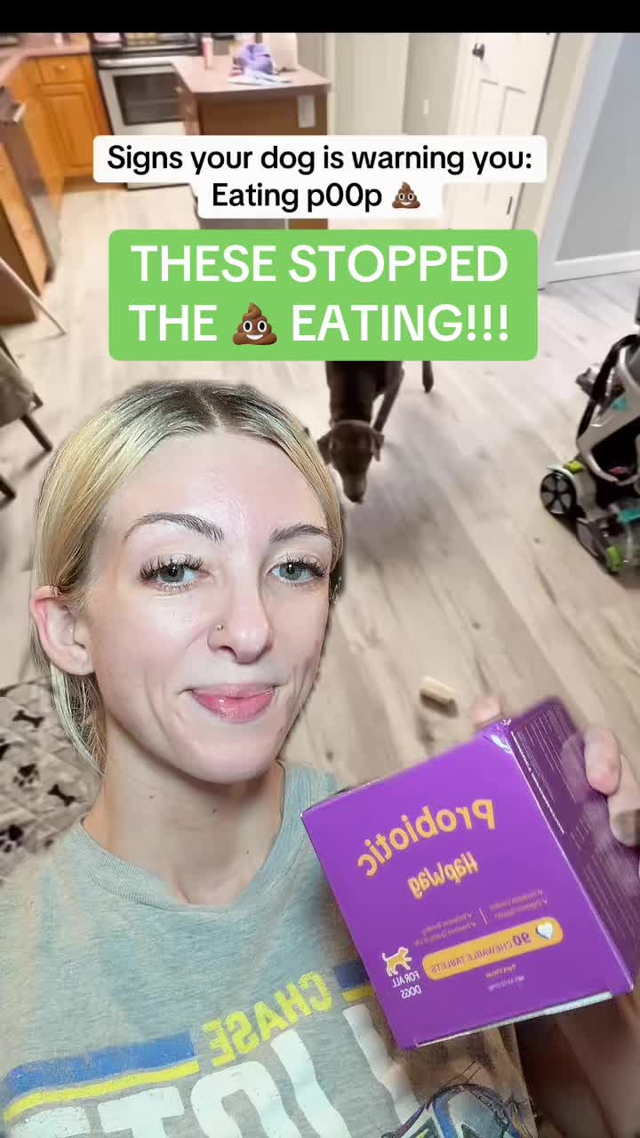 TikTok post by @ugcbyhay for HapWag. Caption reads: [...] yourselves. My dog is so much happier.....