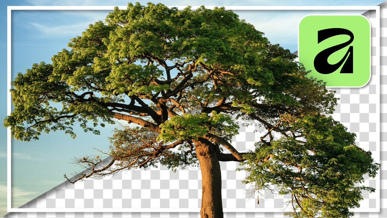 YouTube post by @schulungfurdich for Unsplash. Caption reads: Cutting out and isolating complex objects |....