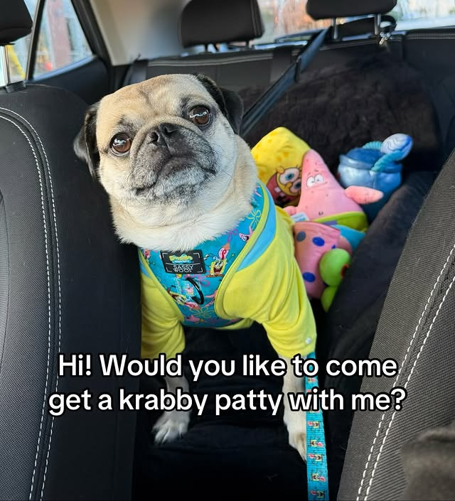 Instagram post by @glambyshelby for Burger King. Caption reads: Fredventure: SPONGEBOB MEAL 🍔 video trying it....